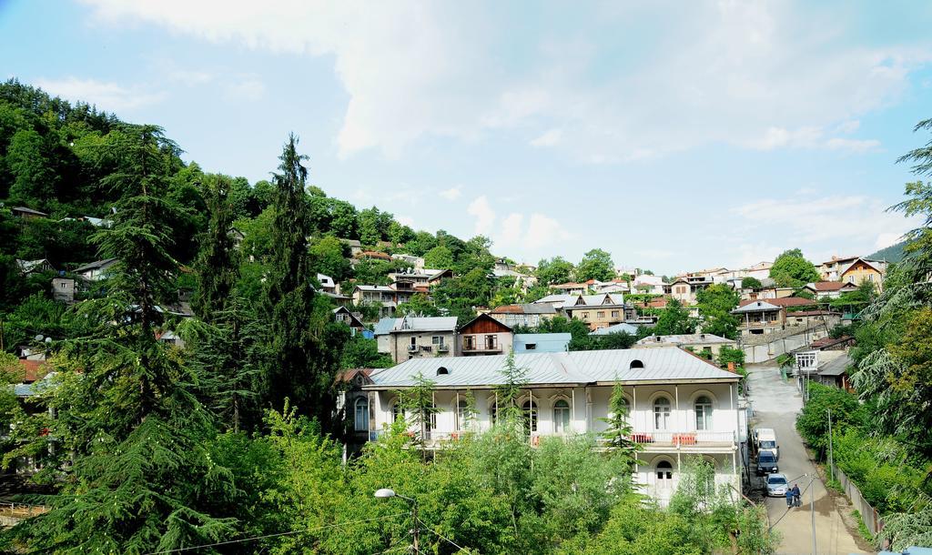 Alma-Ata Hotel Bordzjomi Buitenkant foto