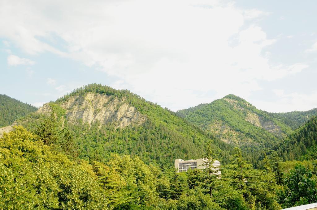 Alma-Ata Hotel Bordzjomi Buitenkant foto